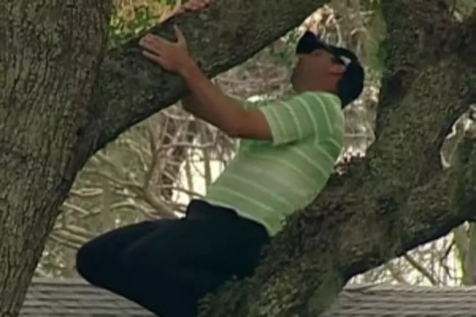 PGA Golfer Hits Amazing One-Handed Shot&#8230; Out of a Tree &#8211; Even If You Don&#8217;t Golf You Should Watch This [VIDEO]