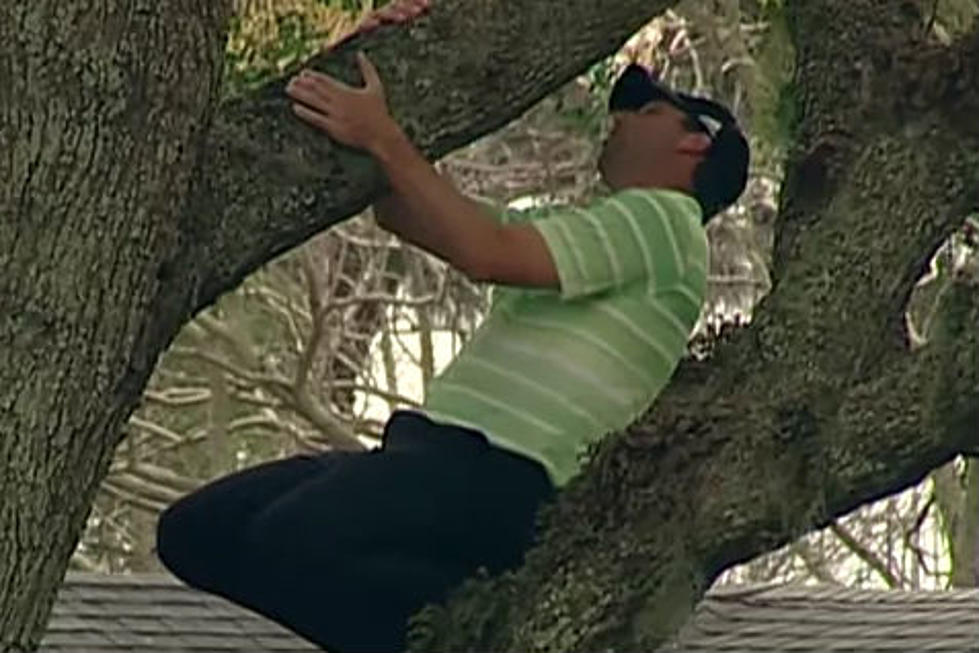 PGA Golfer Hits Amazing One-Handed Shot… Out of a Tree – Even If You Don’t Golf You Should Watch This [VIDEO]