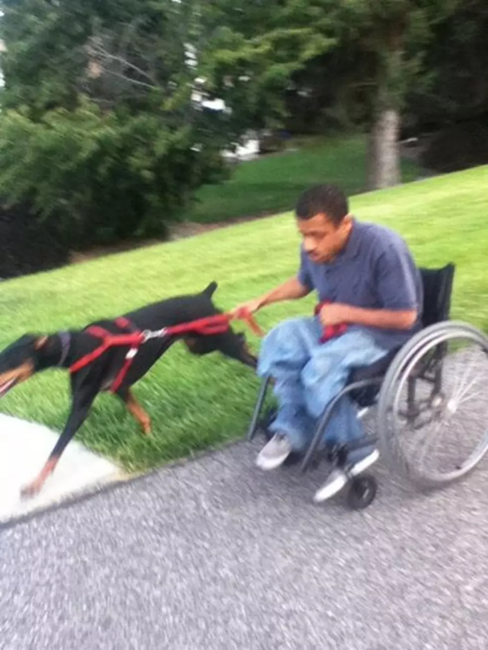 This Richland Man and His Doberman Pinscher Are Freaking Awesome!