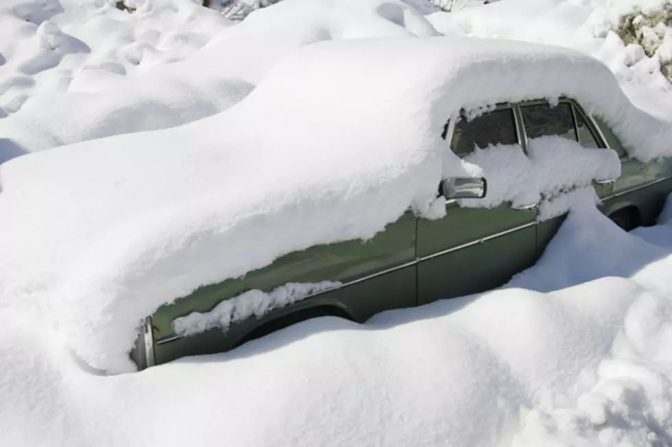 What Do people In New York Do With All This Snow?…Have Some Fun!! [VIDEO]