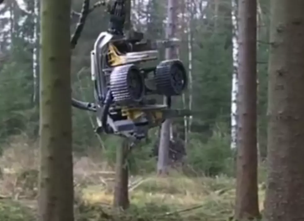 Tree Cutter Looks Like It&#8217;s From a Terminator Movie! [VIDEO]