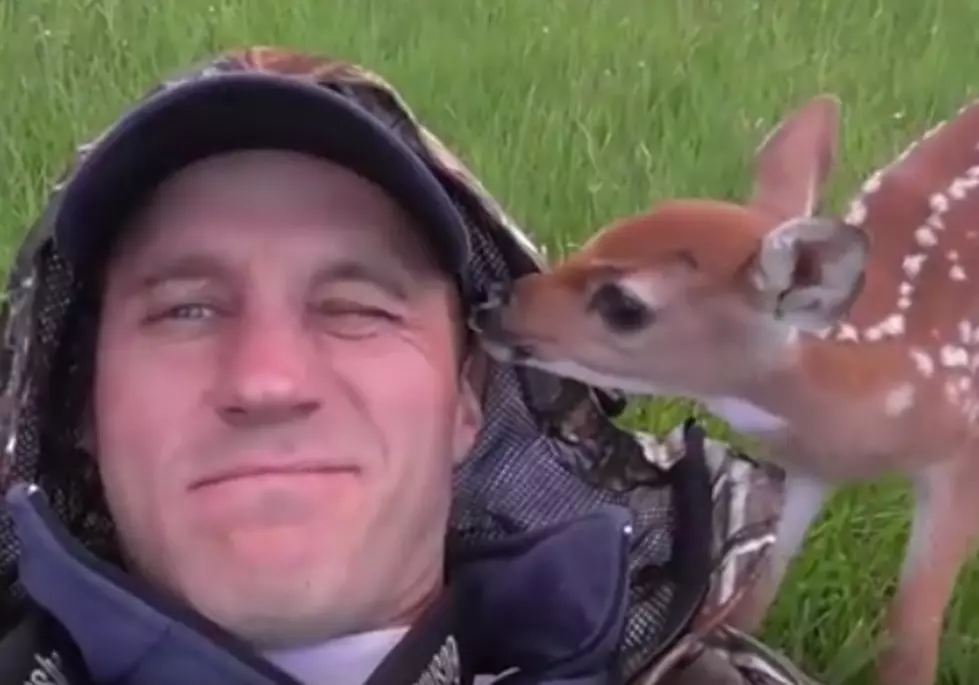 Injured Fawn Makes Her Way Home [VIDEO]