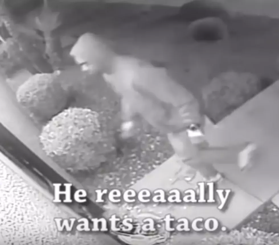 Actual Footage Stars Thieves in Taco Commercial! [VIDEO]