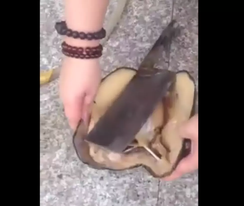 She Breaks Open a Clam and WOW! [VIDEO]