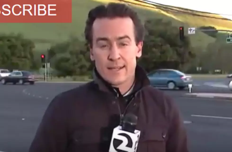 Car Almost Hits Reporter on Live TV [VIDEO]