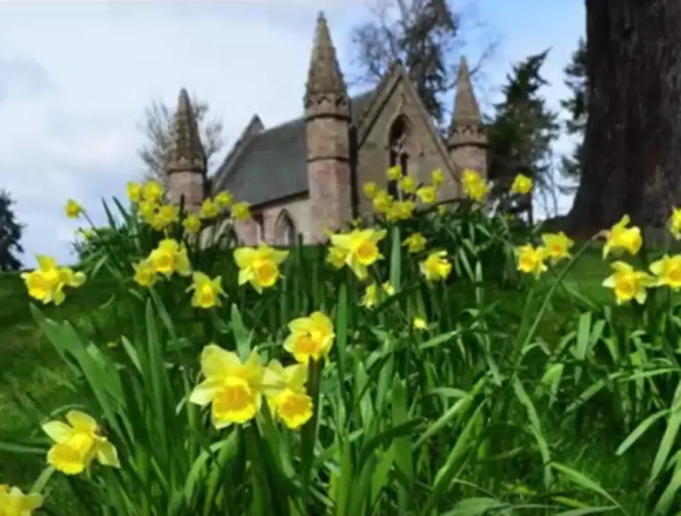 Ready for Spring? Watch English Country Garden Scenes!