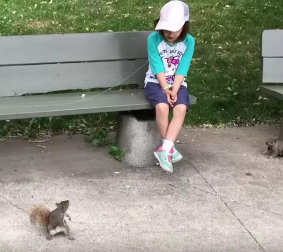 Squirrel Grabs Bait and Pulls Her Tooth Out!