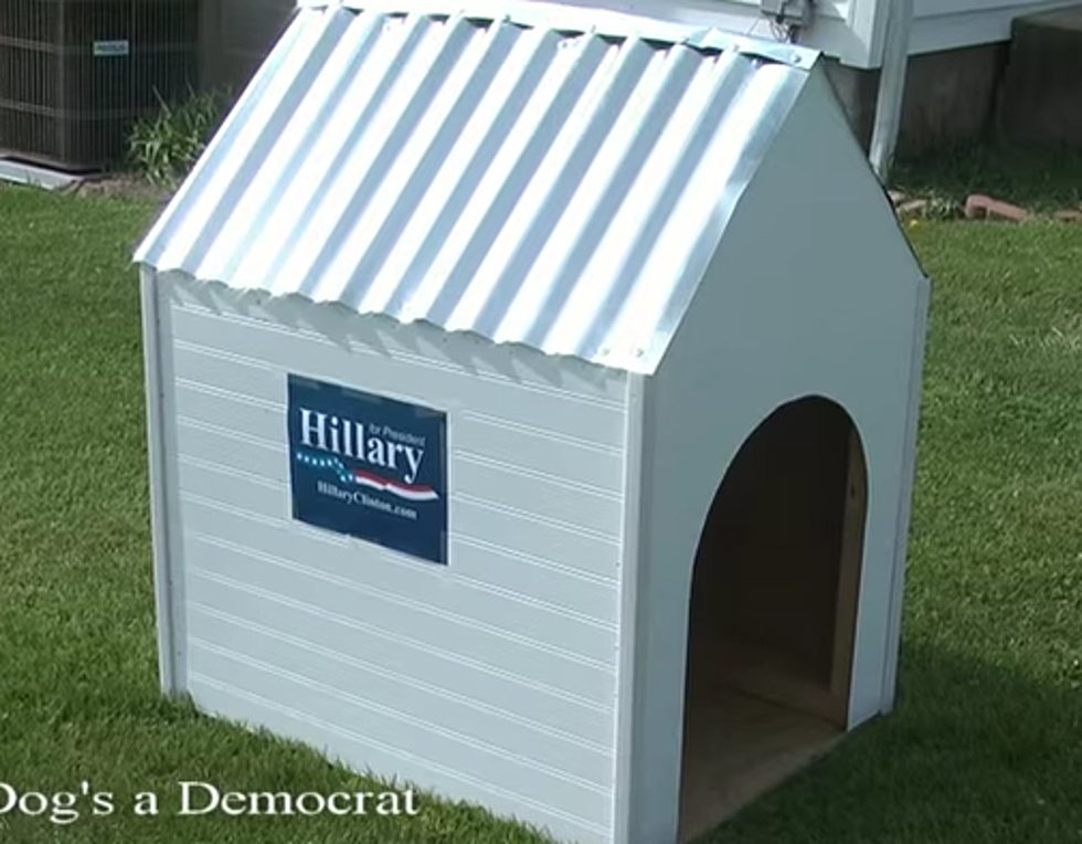 New Country Music Video: I Think My Dog&#8217;s a Democrat