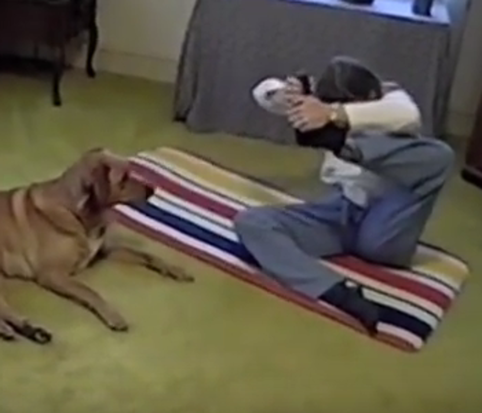 Dog&#8217;s Response to Mom&#8217;s Yoga is Insulting LOL
