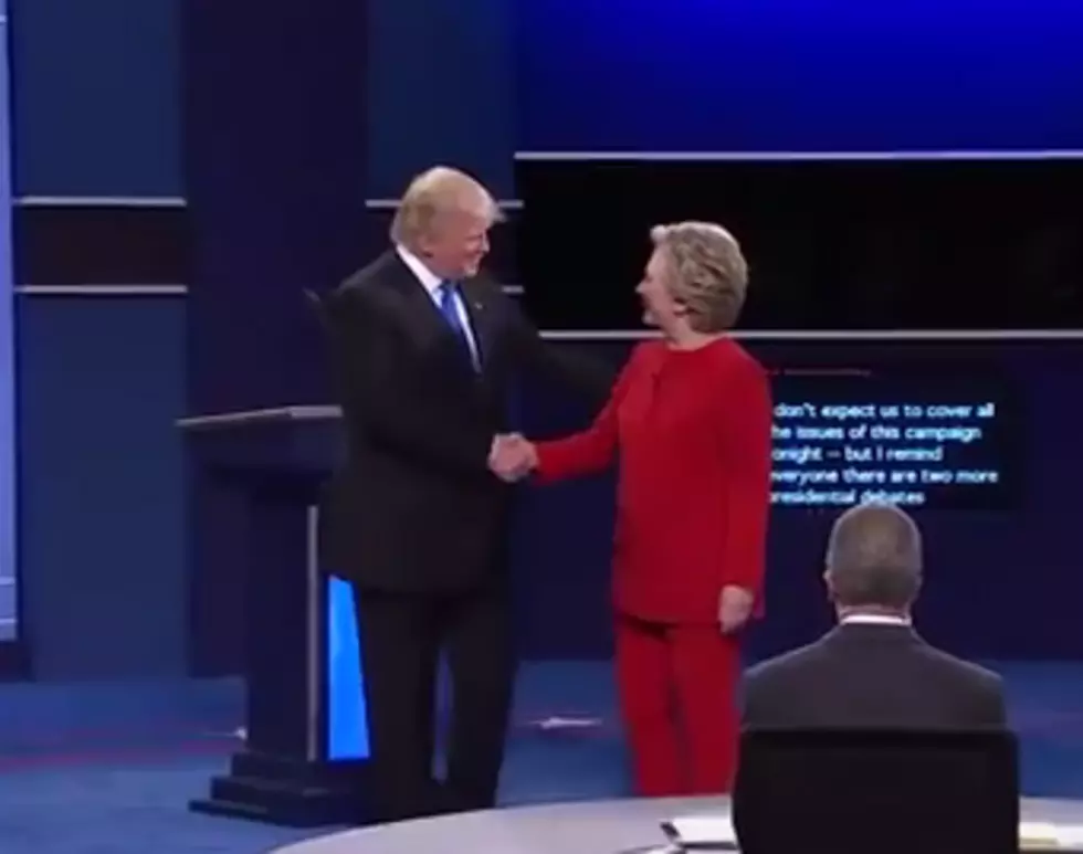 If the Debate had No Words!