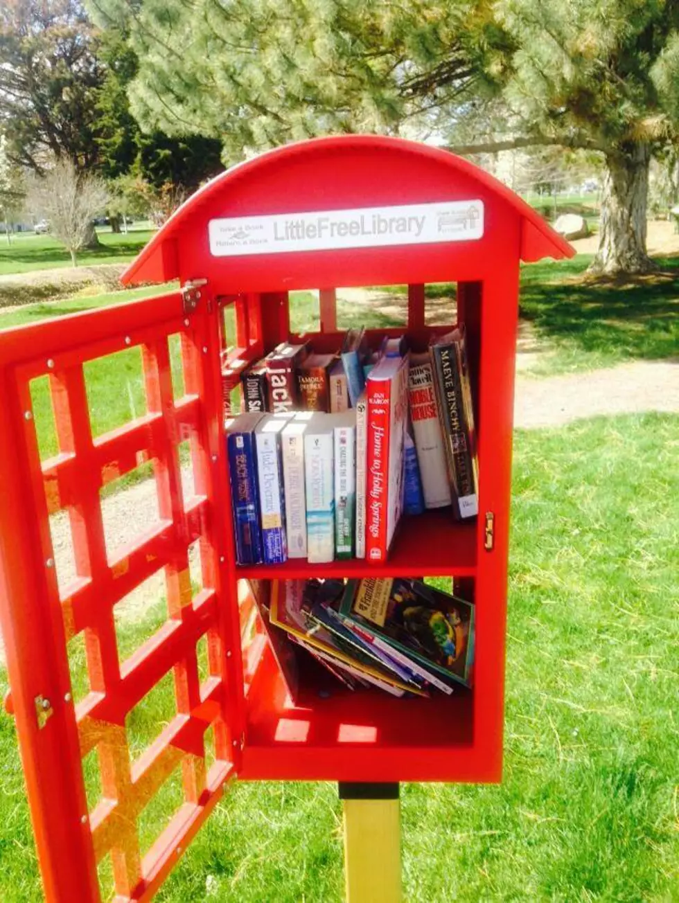 Hermiston Has Cool Lil Libraries Everywhere!