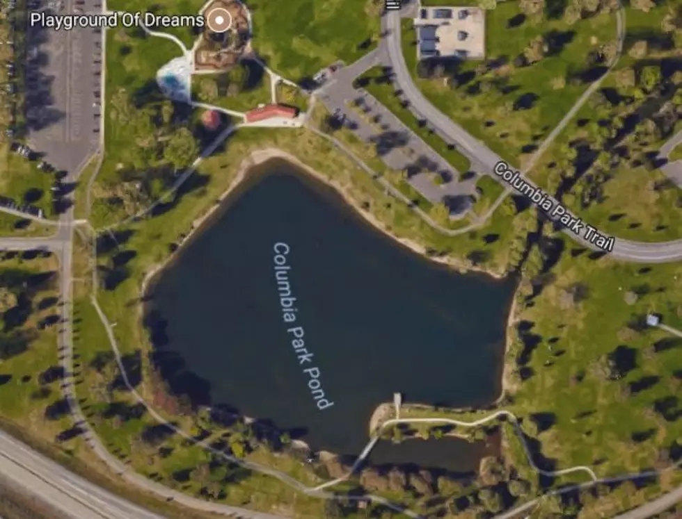 How Can Kennewick Improve Columbia Park’s Pond? [SURVEY]