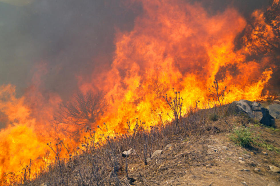 Dallas Rd. Homes Evacuated Due to Fast Moving Fire