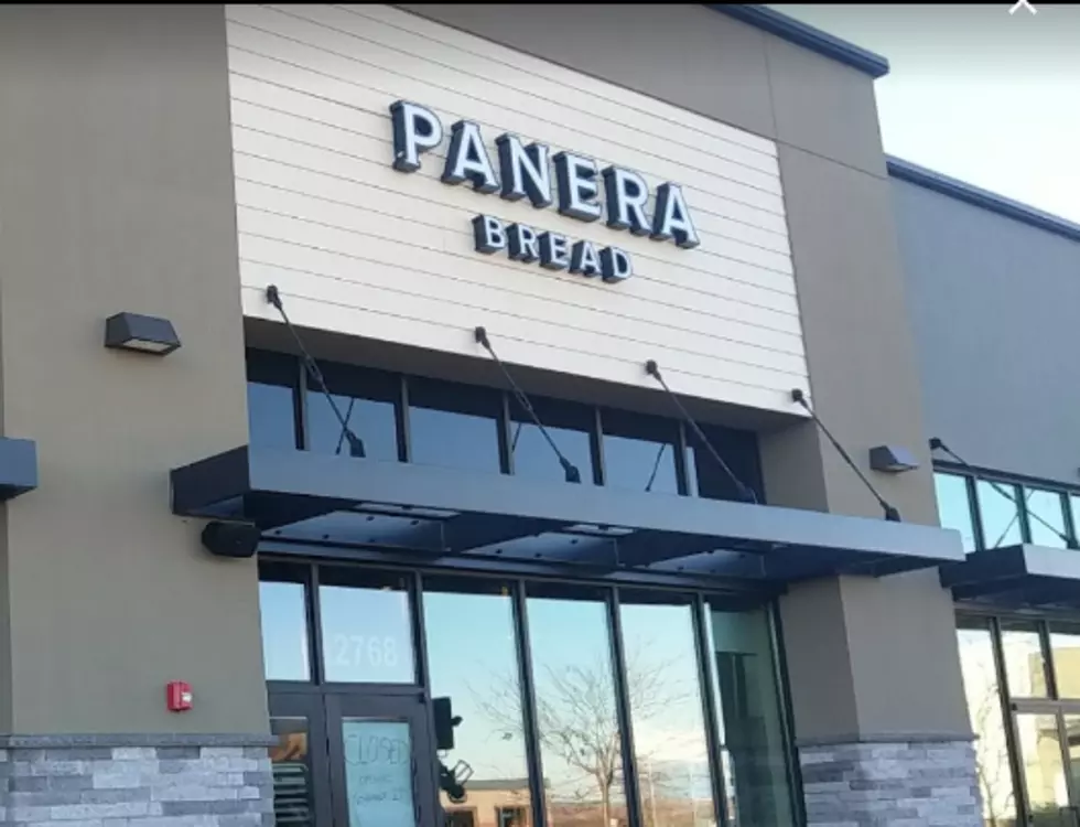 People Waited 16 Hours for Panera Bread to Open in Richland