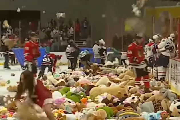 So Amazing When the Teddy Bears Hit the Ice! [VIDEO]