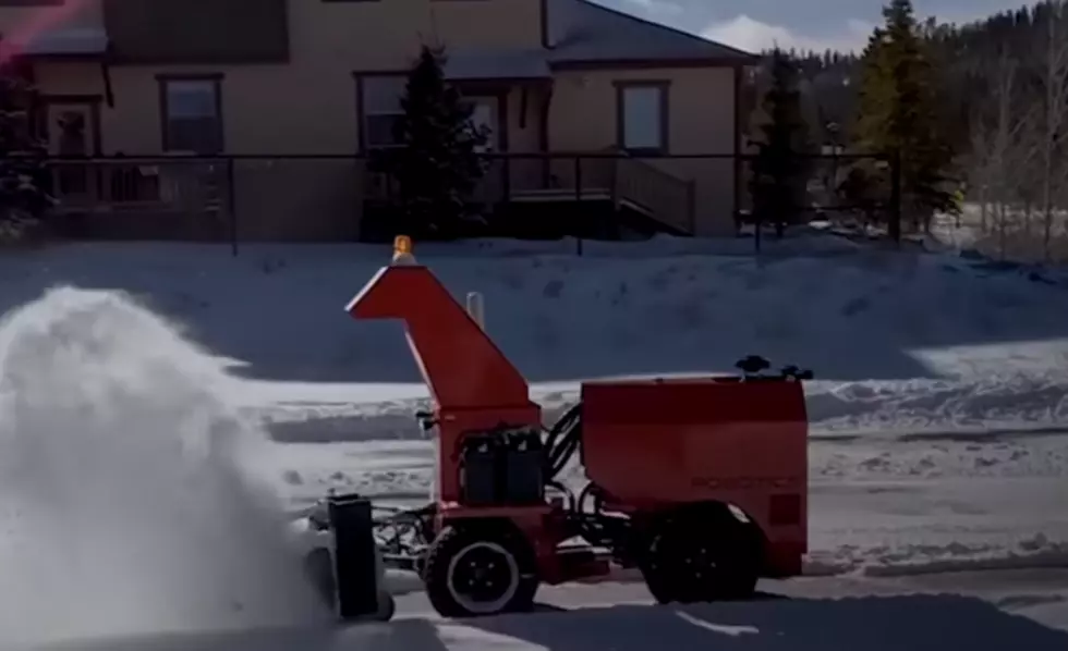 SnowBot Clears Sidewalks and Driveways All By Itself!