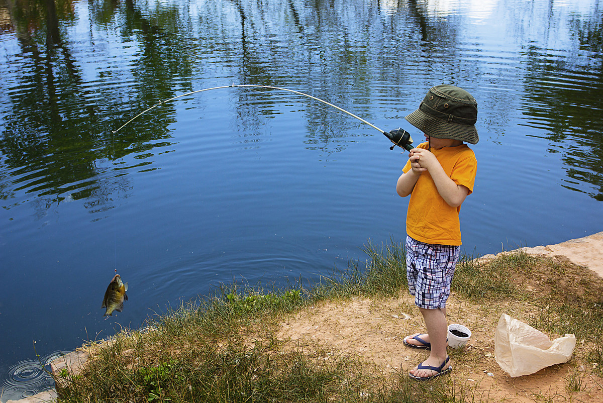 Ловить рыбу в чистой воде во сне. Рыбалка летом. Мальчик с удочкой. Ловить рыбу. Маленький Рыбак.