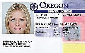 high programmer drivers license illegals
