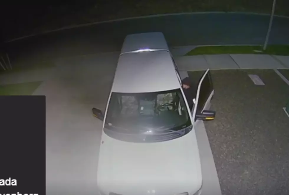 Who is This Kennewick Car Prowler on Ring Video?