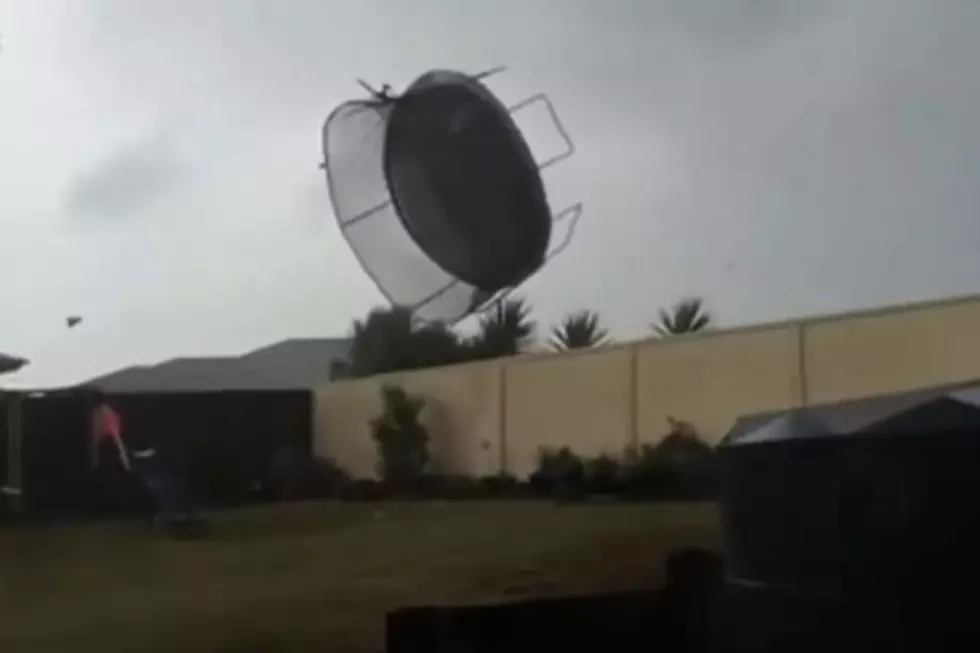 Honey, Have You Seen the Trampoline? [VIDEO]