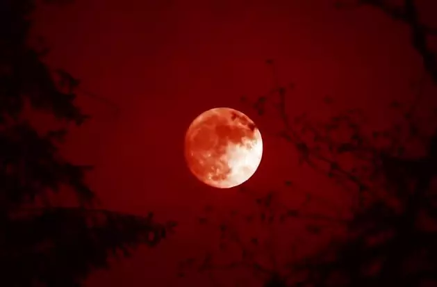 Super Blood Moon Eclipse Happens Early Tomorrow Morning
