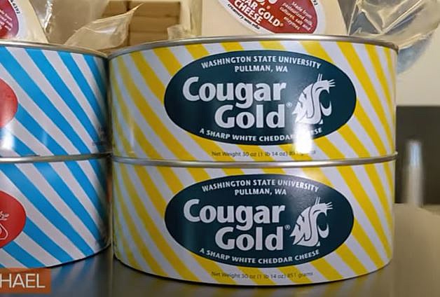 cougar gold sharp white cheddar mac and cheese
