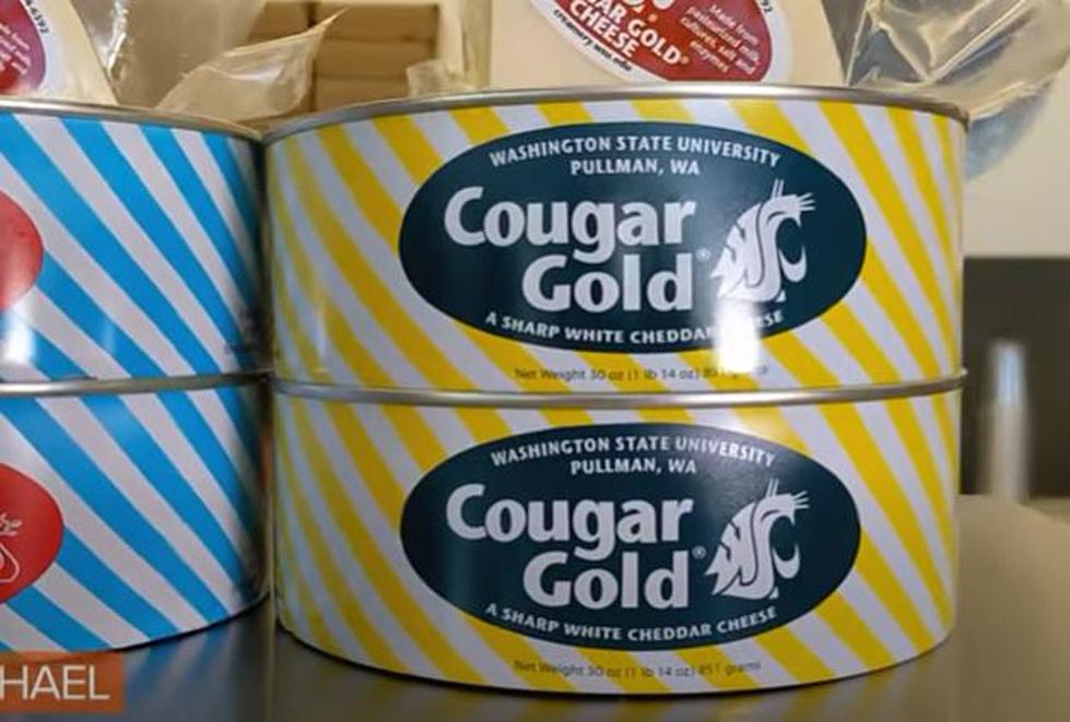 Watch How Cougar Gold Cheese is Actually Made!