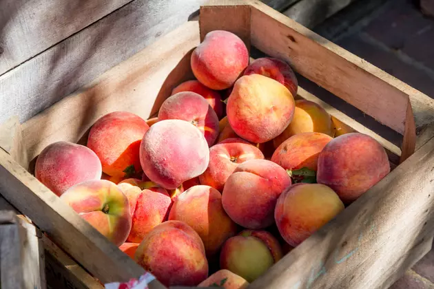 Try this Heavenly Recipe for Fresh Washington Peaches