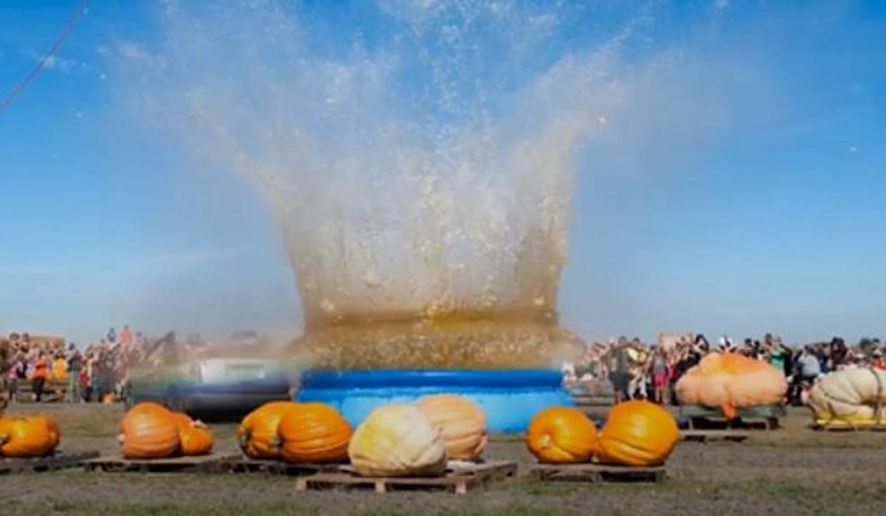Giant Oregon Pumpkins Fall From a Crane Into Pool! [VIDEO]