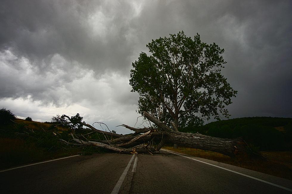 High Winds Expected on Thursday Prepare for the Big Blow