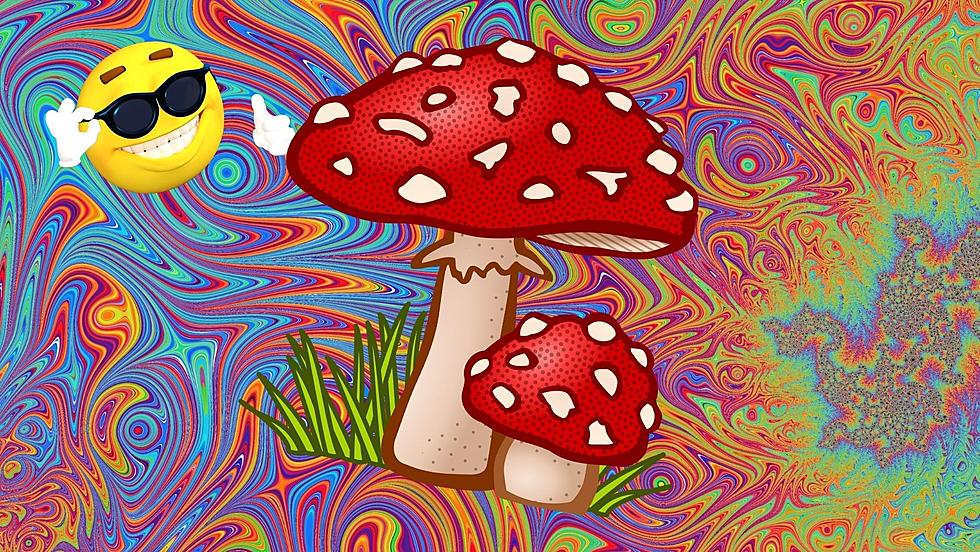 Psychedelic Trips Will Be Legal in Washington If Senate Bill 5660 Passes