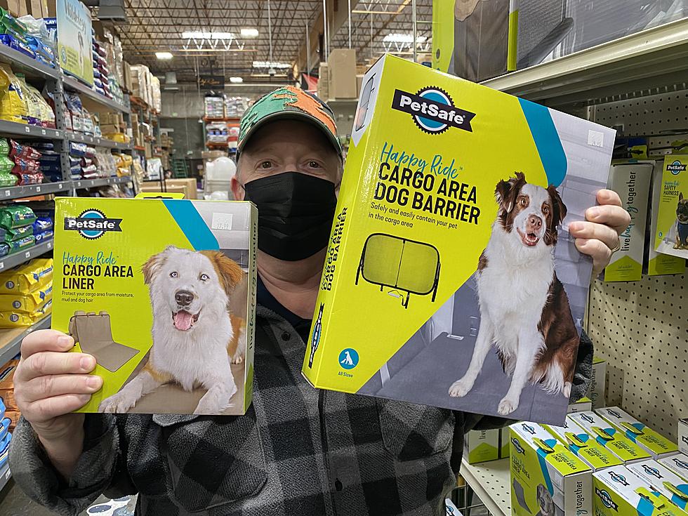 Woody Finds the Best Pet Supplies (Big and Small) at Ranch &#038; Home