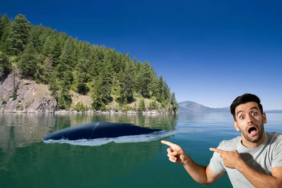 See the Secrets of the Northwest Lake Monster