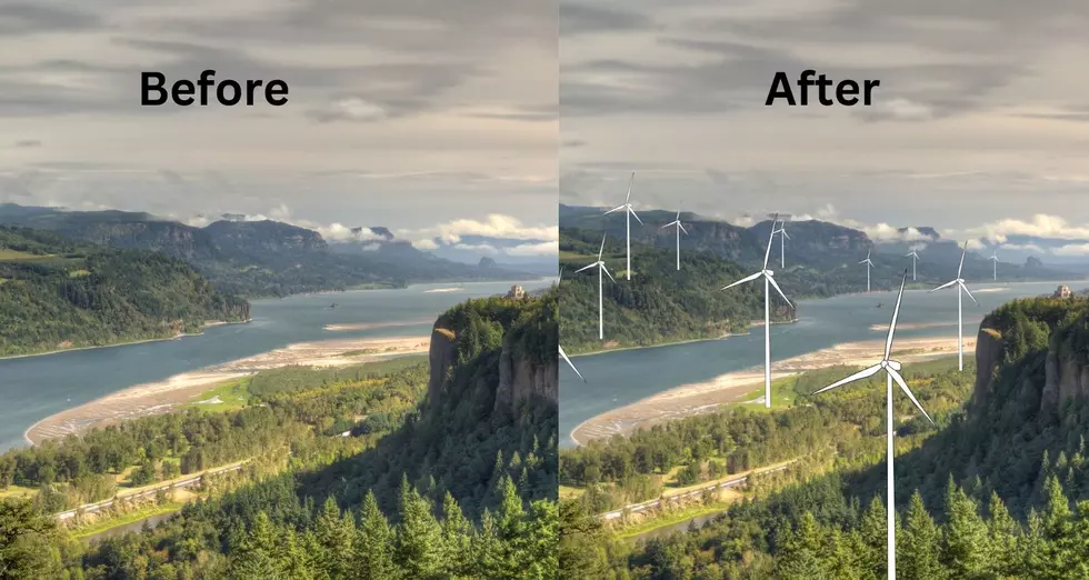 Could Wind Turbines Come to the Columbia River Gorge?