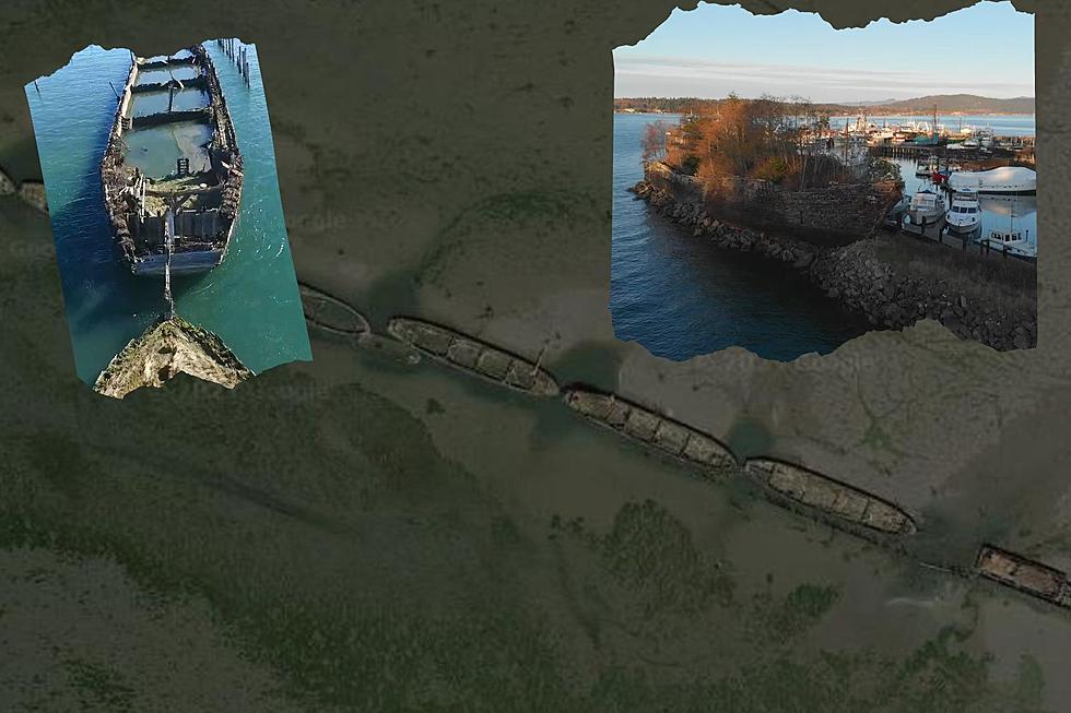 A Ship of Trees and Other Eerie Old Sunken Boats to Explore in Washington