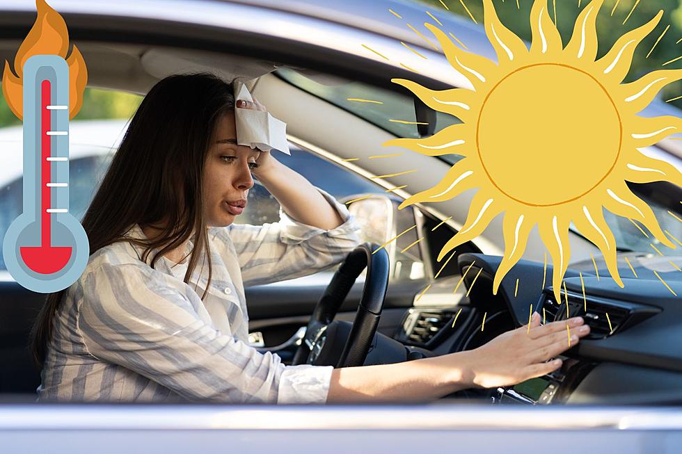 Things You Should Never Leave in a Car on a Hot Tri-Cities Day