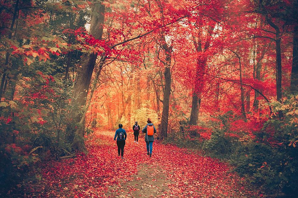 The Top 5 Fall Foliage Destinations in Washington and Oregon