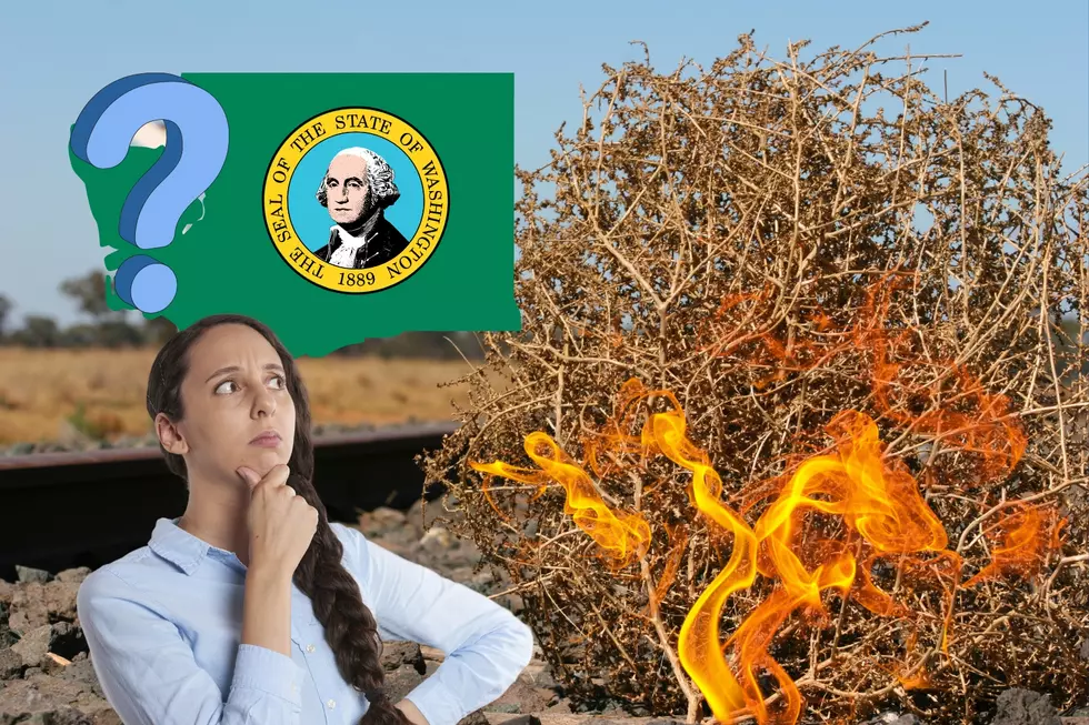 Blazing Question: Can You Burn Tumbleweeds in Washington State? [VIDEO]