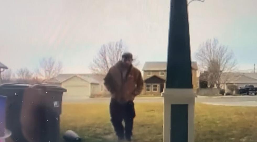 Video Catches Brazen Porch Thief Stealing in Kennewick Who is He?