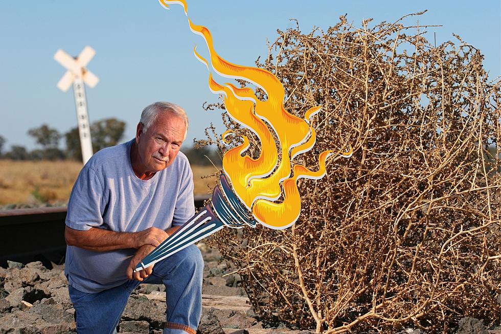 Can You Legally Burn Tumbleweeds on Your Property in Washington State?