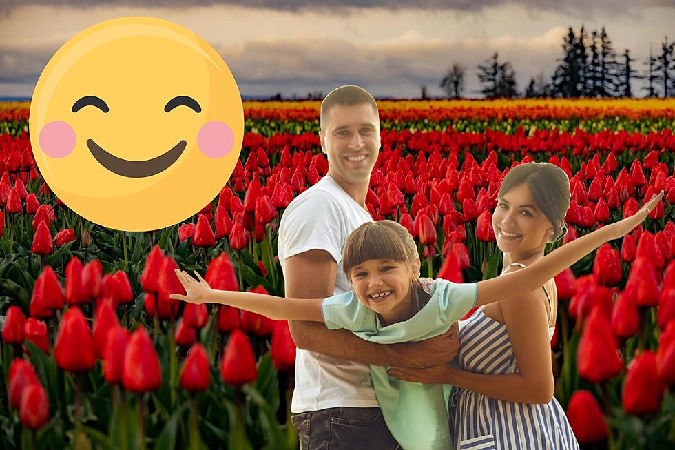 Oregon’s Amazing Wooden Shoe Tulip Festival is Worth the Drive