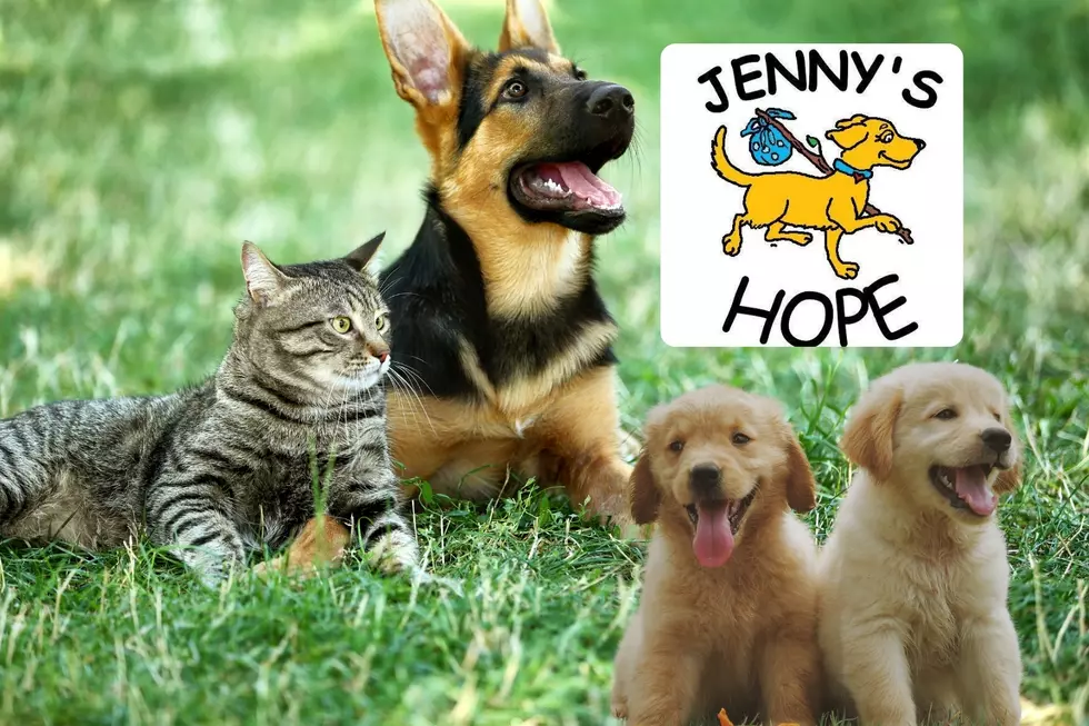 Excitement Building for Upcoming Popular Super Pet Adoption Event