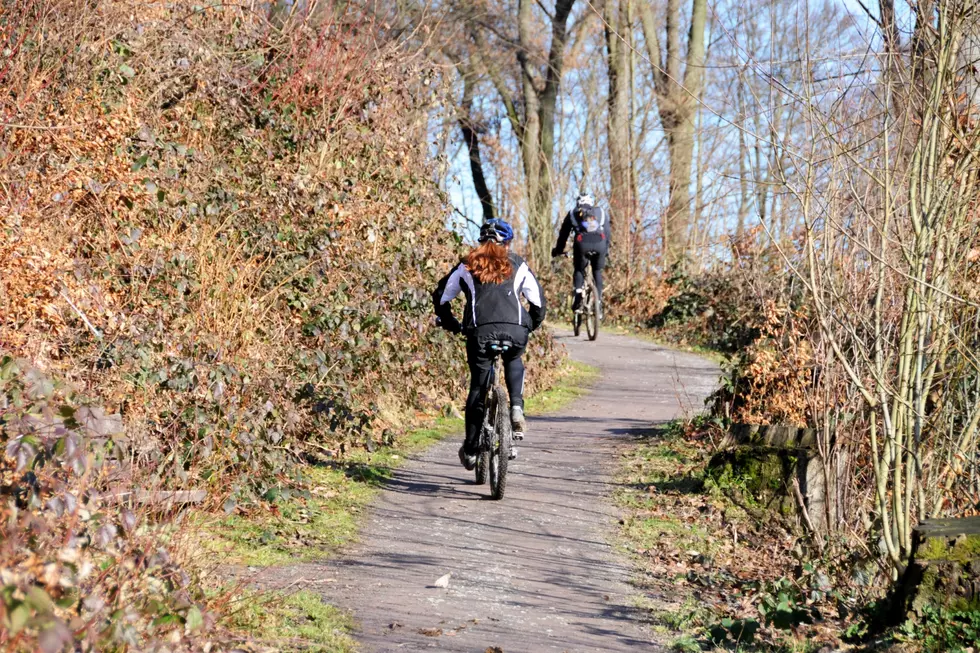 Bicyclists: Ride With A Ranger 17-Mile Tri-Cities Trip on 4/13