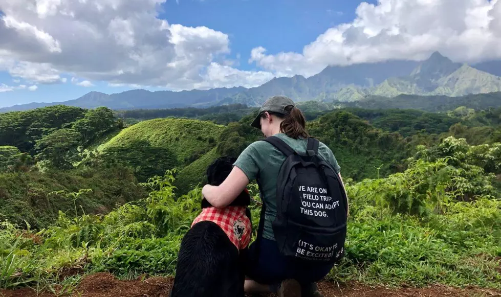 WA Residents - Enhance Your Hawaiian Vacation by Walking a Dog 