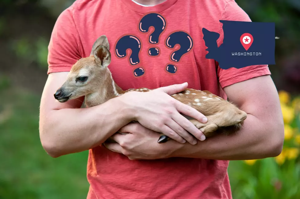 The Surprising Legality of Assisting Wildlife in Washington