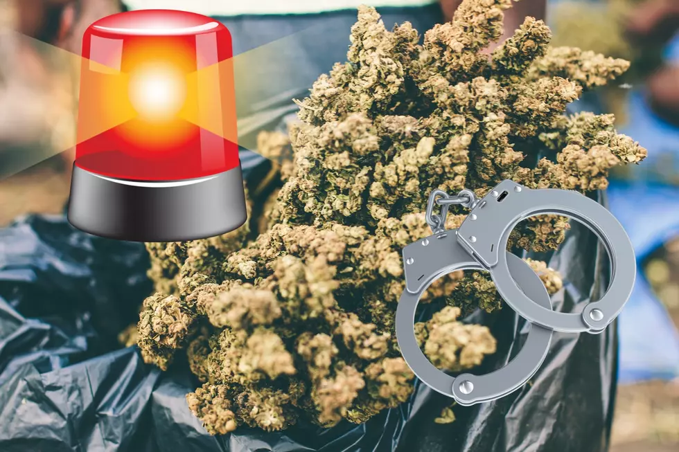 Man Arrested in Massive Marijuana Bust on Interstate 5