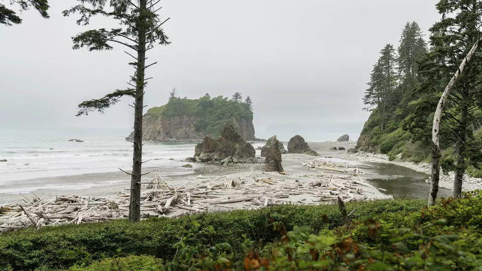 The Secret Is Out: This WA Beach Named 1 of the MOST Beautiful Beaches in the Planet