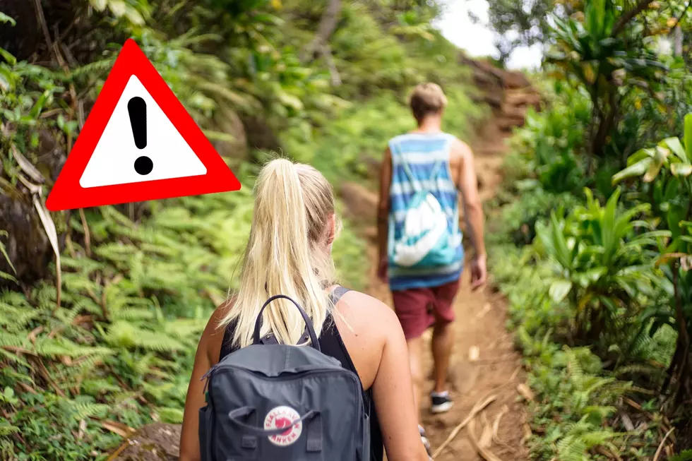 Hiker Alert: Washington Trails Come With New Risks