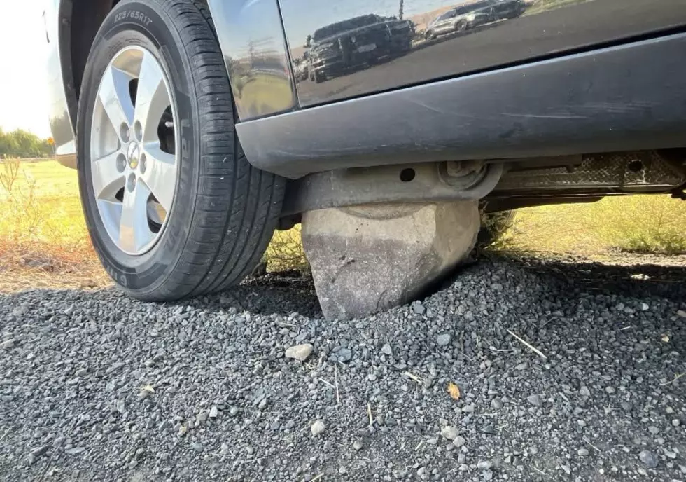 How Citizen Tips Led to Arrest of Prosser's Hit-and-Run Suspect