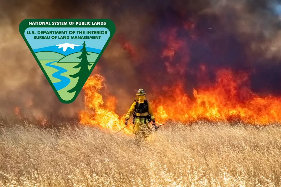BLM Officials Urge Visitors to Take Fire Restrictions Seriously